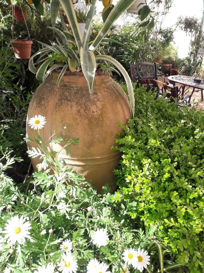 Appartamento La Follicara Anacapri  Exteriör bild